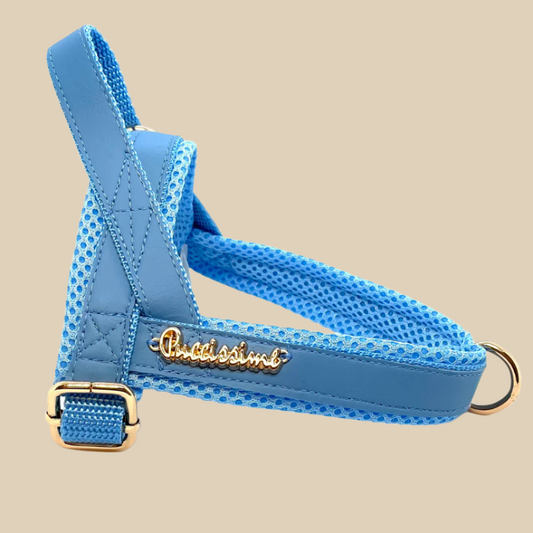 Maya Blue One-Click Harness