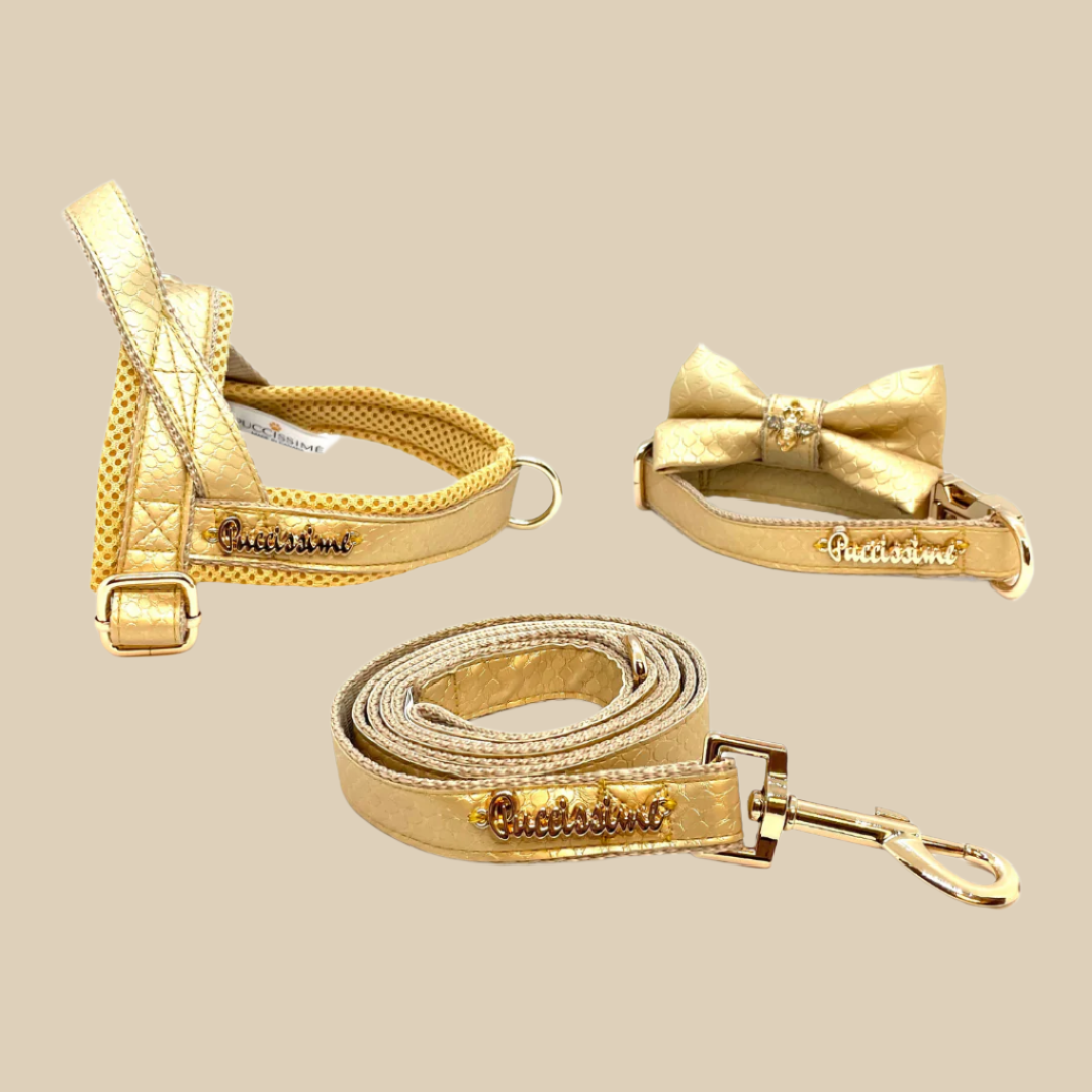 Aurelia Collar