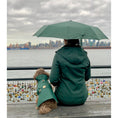 Load image into Gallery viewer, Green Rain Jacket
