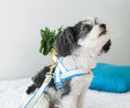 Load image into Gallery viewer, My Baby Boy One-Click Dog Harness
