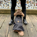 Load image into Gallery viewer, Black Rain Jacket
