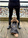 Load image into Gallery viewer, Black Rain Matching Leash
