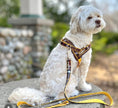Load image into Gallery viewer, Medallion One-Click Dog Harness
