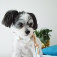 Load image into Gallery viewer, My Baby Boy Collar
