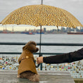 Load image into Gallery viewer, Old Gold Rain Jacket
