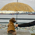 Load image into Gallery viewer, Old Gold Rain Matching Leash

