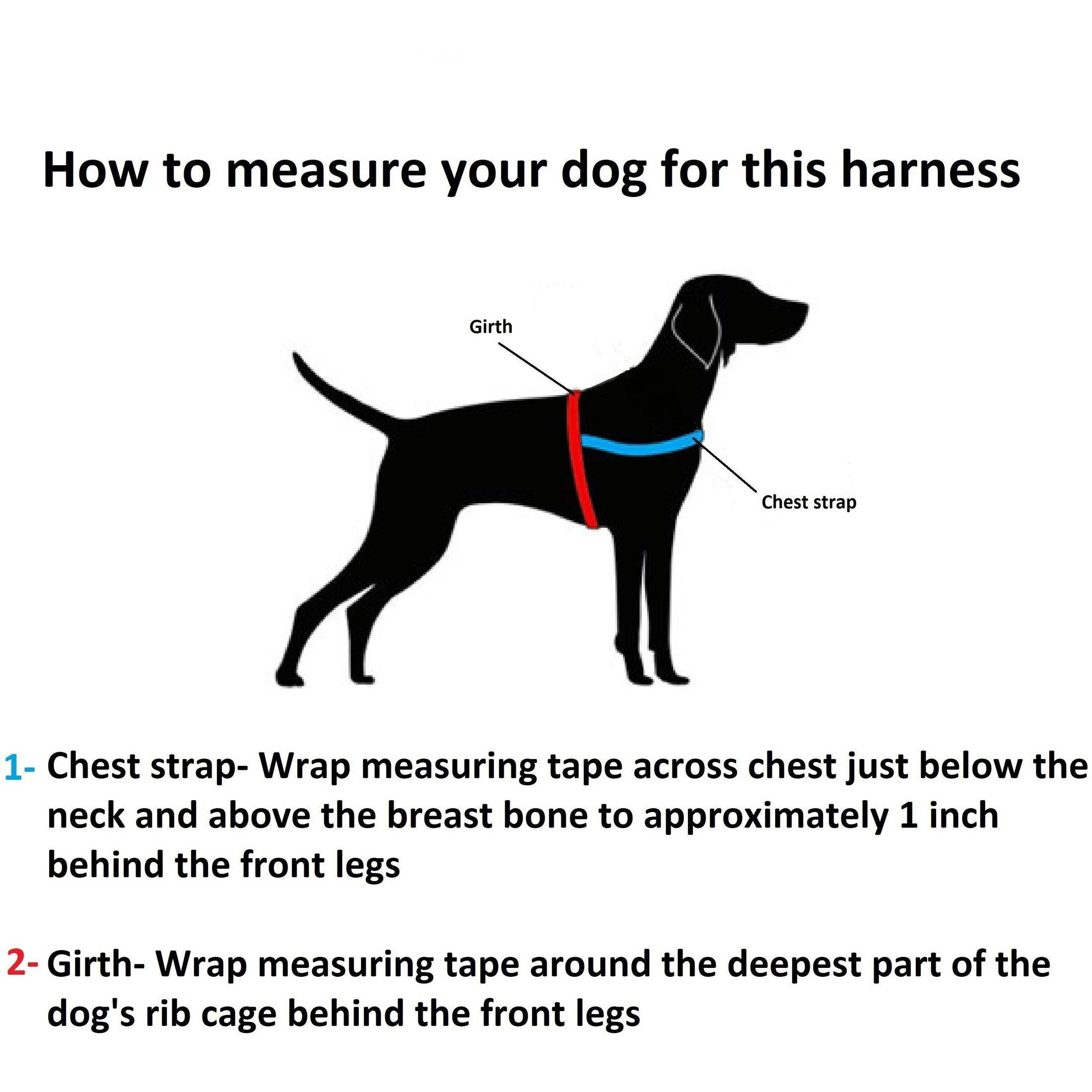 Scotland Tartan One-Click Harness
