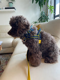 Load image into Gallery viewer, Scotland Tartan One-Click Harness
