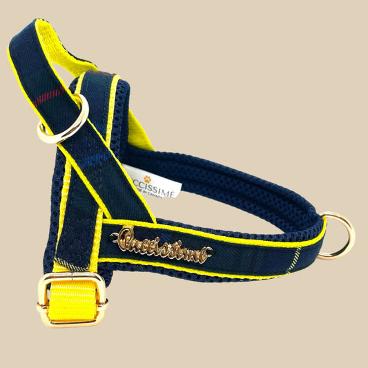 Scotland Tartan One-Click Harness