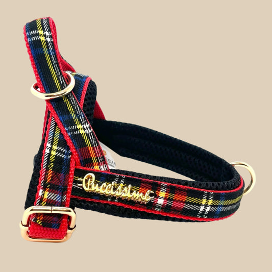 Carnegie One-Click Harness