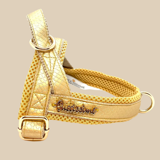 Aurelia One-Click Dog Harness