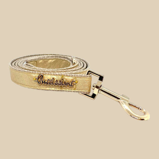 Aurelia Leash
