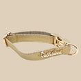 Load image into Gallery viewer, Aurelia Collar
