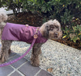 Load image into Gallery viewer, Burgundy Rain Jacket
