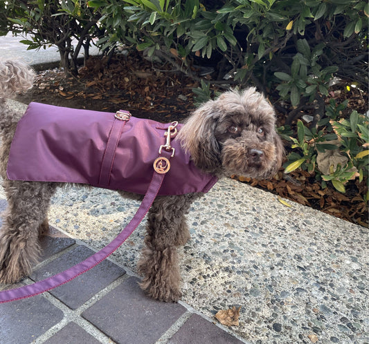 Burgundy Rain Jacket