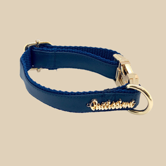 Neptune Collar