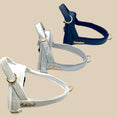 Load image into Gallery viewer, Neptune One-Click Dog Harness
