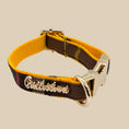 Load image into Gallery viewer, Medallion Collar, Leash & Bow Tie Set
