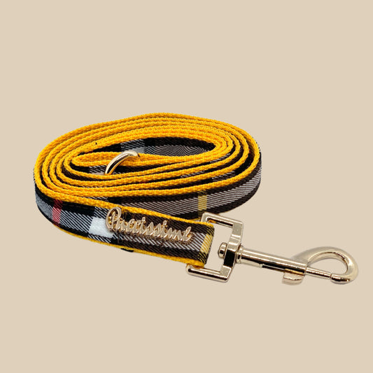 Medallion Dog Leash