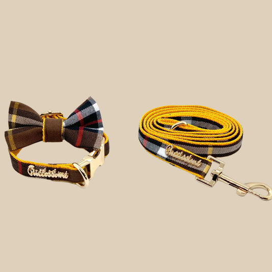 Medallion Collar, Leash & Bow Tie Set