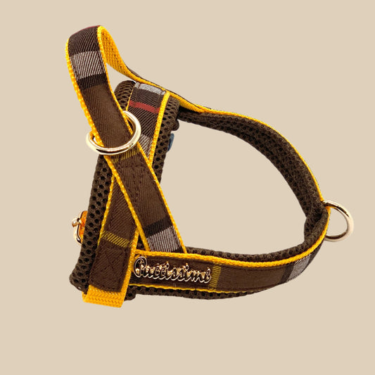 Medallion One-Click Dog Harness