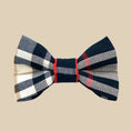 Load image into Gallery viewer, Collette Collar, Leash & Bow Tie Set
