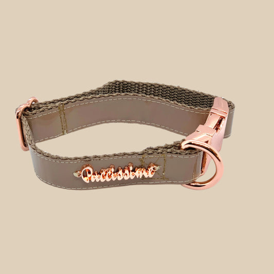 Champagne Dog Collar