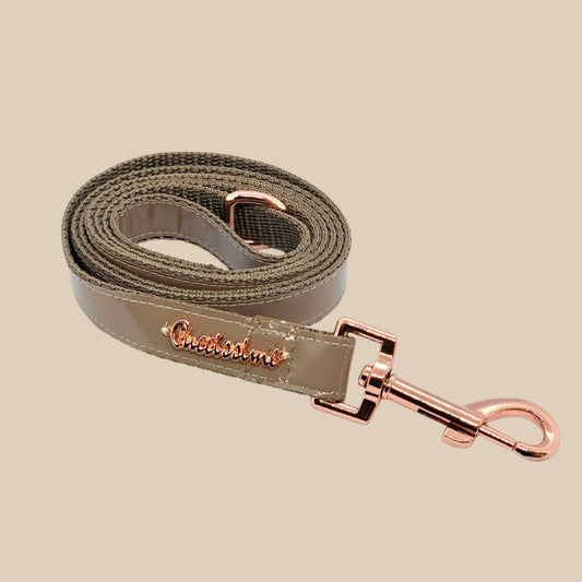 Champagne Dog Leash