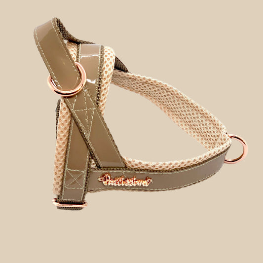 Champagne One-Click Dog Harness