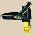 Load image into Gallery viewer, Scotland Tartan One-Click Harness
