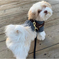 Load image into Gallery viewer, Grizzly One-Click Dog  Harness
