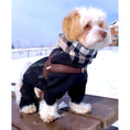 Load image into Gallery viewer, Grizzly One-Click Dog  Harness
