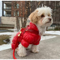 Load image into Gallery viewer, Cherry Red Leather One-Click Dog Harness
