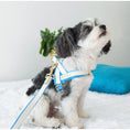 Load image into Gallery viewer, My Baby Boy Collar
