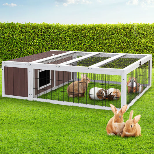 Single Level Rabbit Hutch