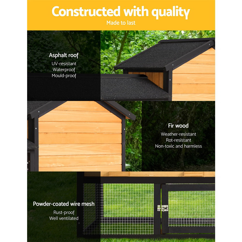 Chicken Coop/Rabbit Hutch