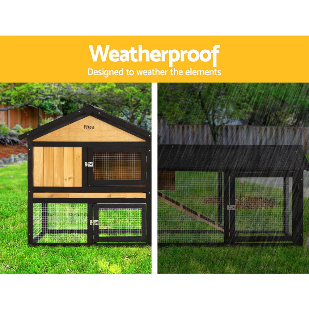 Chicken Coop/Rabbit Hutch