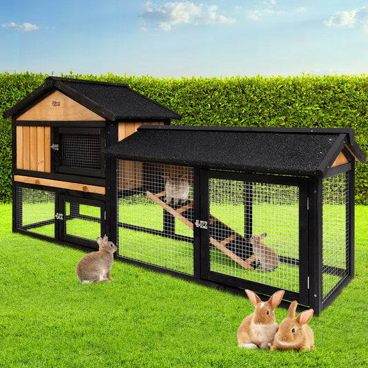 Chicken Coop/Rabbit Hutch