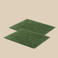 Load image into Gallery viewer, Potty Grass Tray Training Toilet
