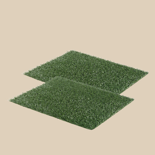 Potty Grass Tray Training Toilet