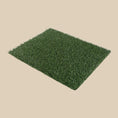 Load image into Gallery viewer, Potty Grass Tray Training Toilet
