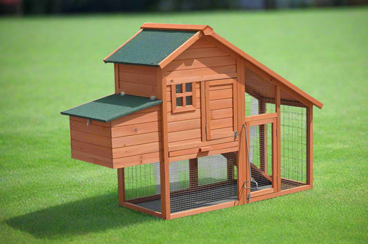 Large Chicken Coop
