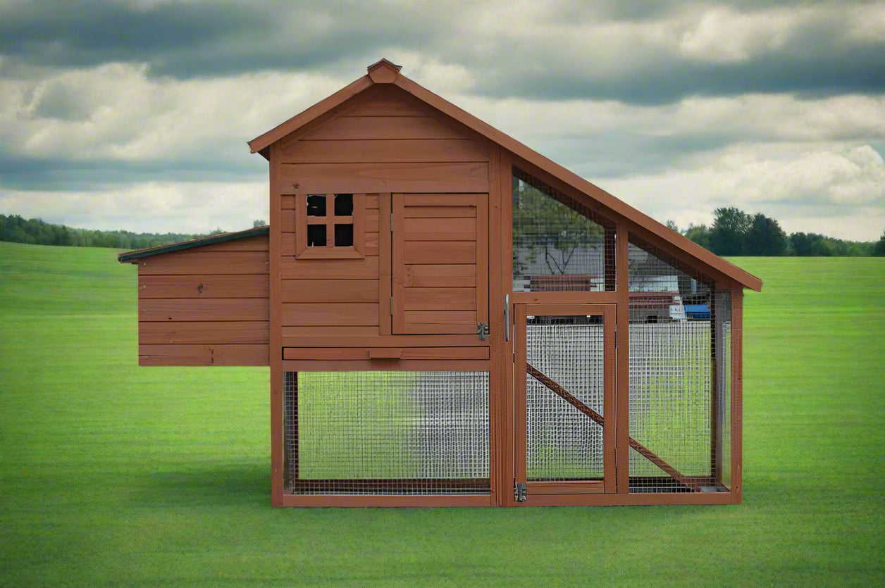 Large Chicken Coop