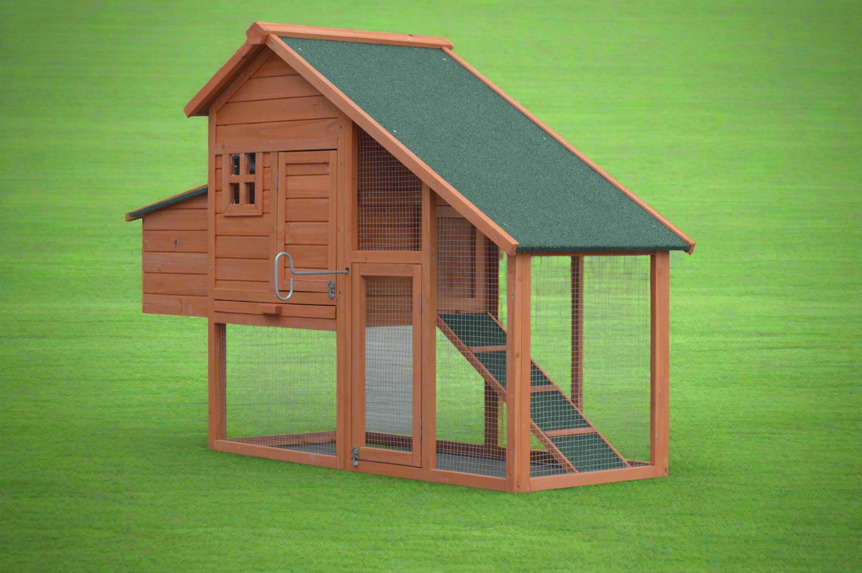 Large Chicken Coop