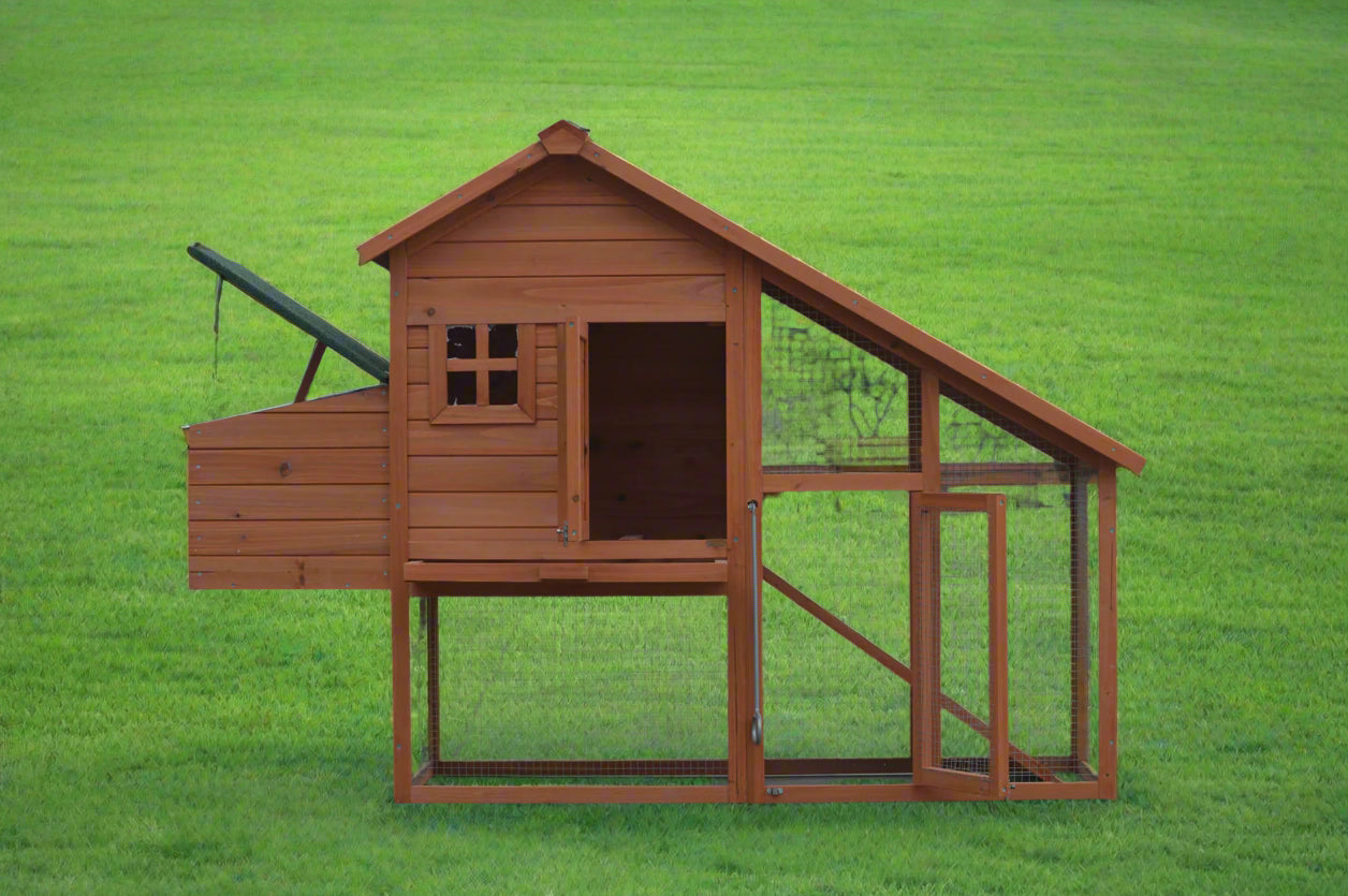 Large Chicken Coop
