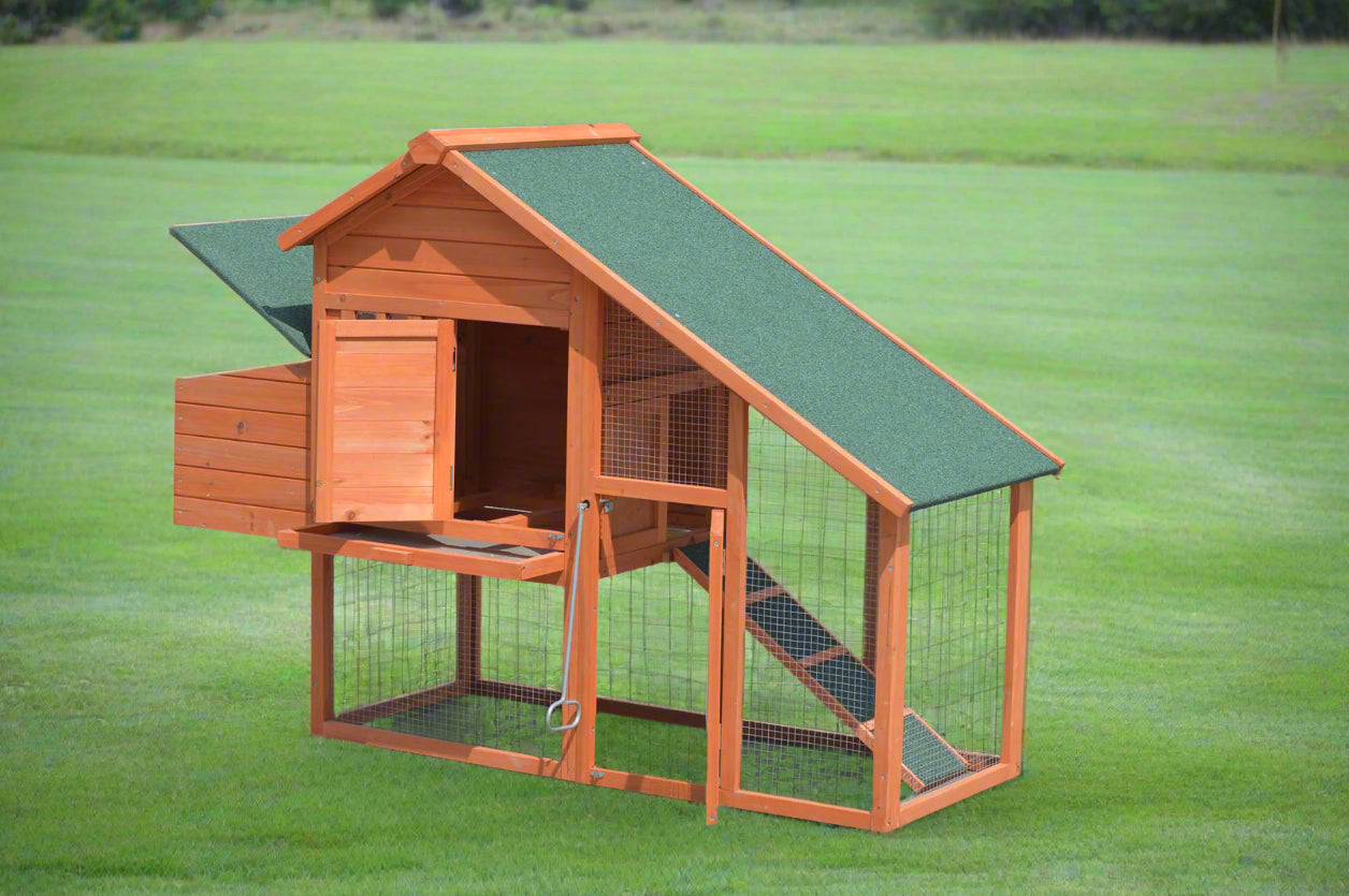 Large Chicken Coop