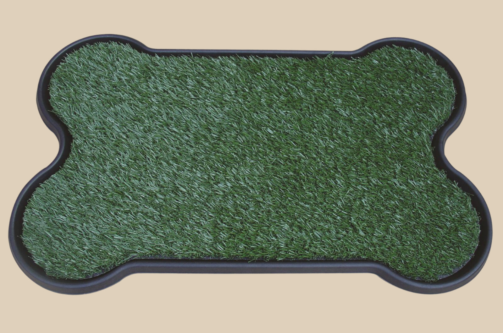 Potty Training Mat
