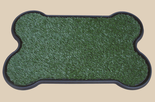 Potty Training Mat