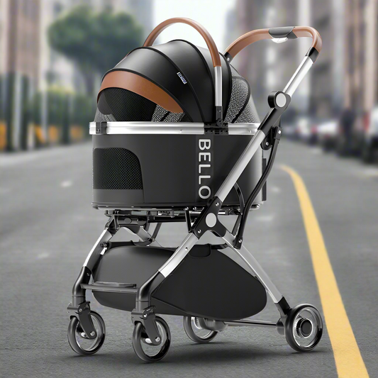 Bello Lux-Black