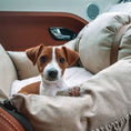Load image into Gallery viewer, Premium Dog Booster
